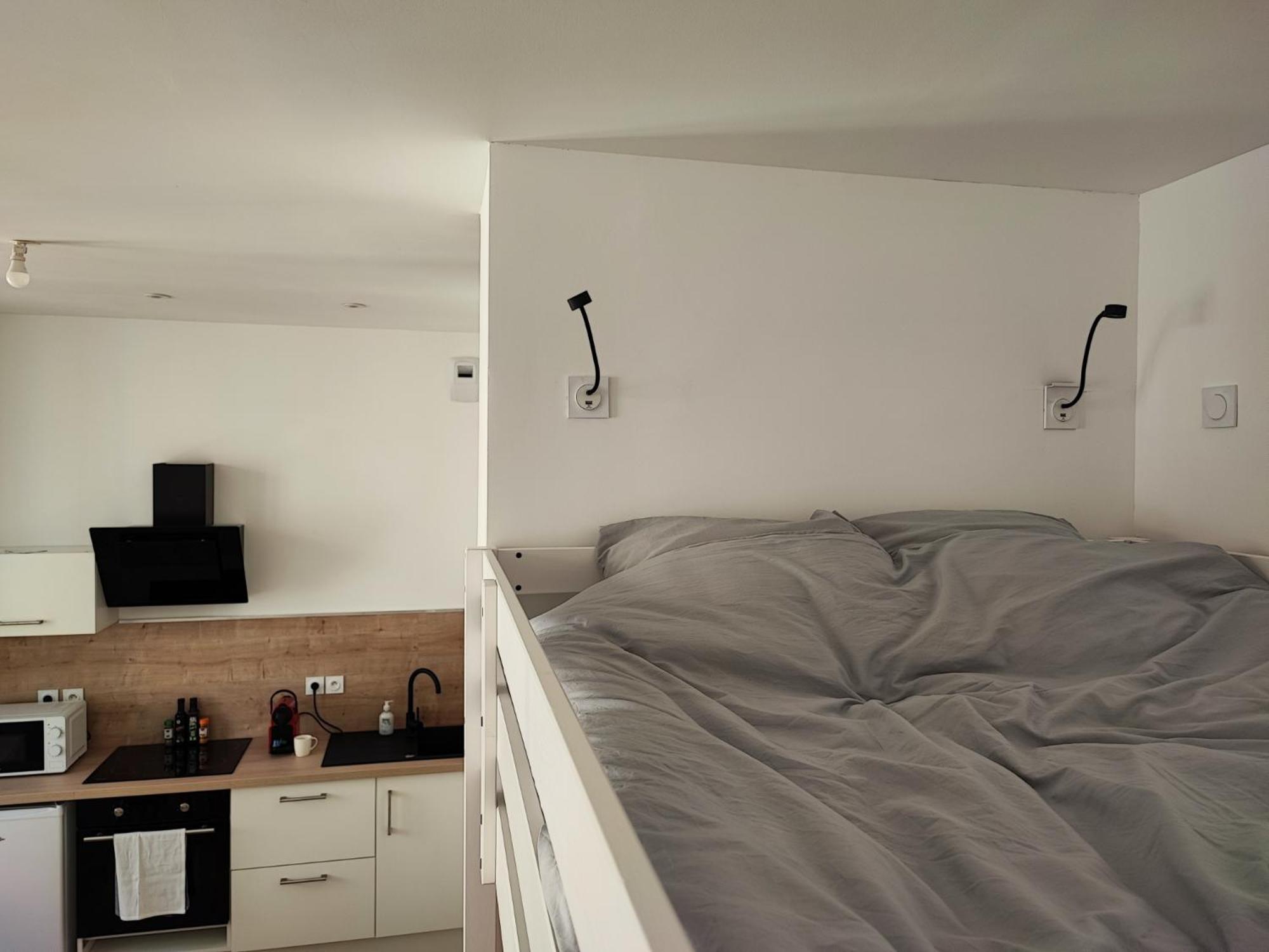 Escale Entre Cite Et Bastide Clim Wifi Smart Tv Leilighet Carcassonne Eksteriør bilde